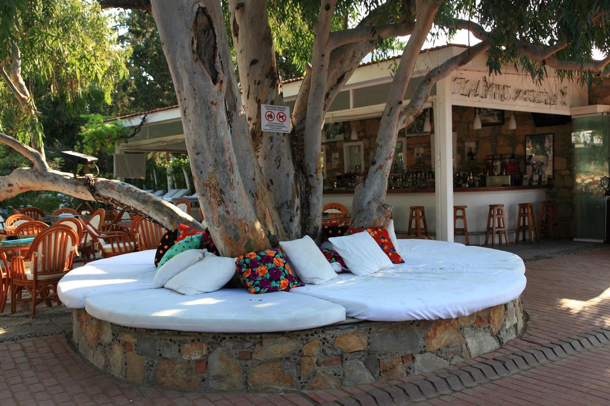 Okaliptus Otel Битез Экстерьер фото